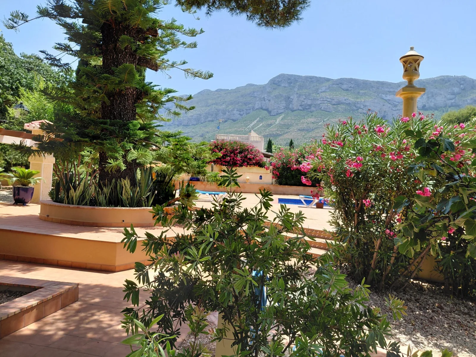 El jardín y la piscina, con el Montgó al fondo